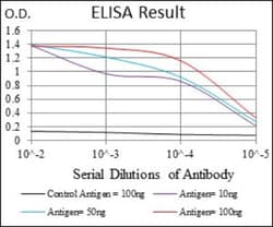 Rex-1/ZFP42 Antibody (5E11E7) - BSA Free, Novus Biologicals:Antibodies:Primary