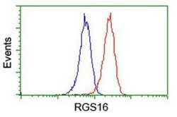 RGS16 Antibody (OTI4E5), Novus Biologicals 0.1mL; Unlabeled:Antibodies,