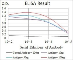 RhoGDI Antibody (2G3) - BSA Free, Novus Biologicals 0.1mL; Unlabeled:Antibodies,