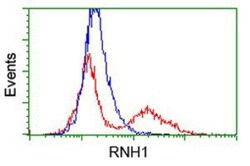 Ribonuclease Inhibitor Antibody (OTI1B7), Novus Biologicals 0.1mL; Unlabeled:Antibodies,