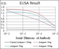 RING1 Antibody (8C12F4) - BSA Free, Novus Biologicals 0.1mL; Unlabeled:Antibodies,