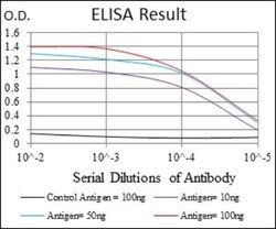 ROCK1 Antibody (1H4) - BSA Free, Novus Biologicals 0.025 mL, Unlabeled:Antibodies,