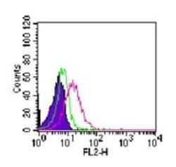 ROR gamma/RORC/NR1F3 Antibody (4G419) - BSA Free, Novus Biologicals 0.025 mg | Buy Online | Novus Biologicals | Fisher Scientific