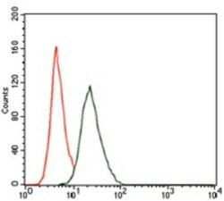RUNX3/CBFA3 Antibody (2B3) - BSA Free, Novus Biologicals 0.1mL; Unlabeled:Antibodies,