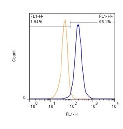 S100B Antibody (15F4NB) - Azide and BSA Free, Novus Biologicals 0.1mg;