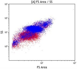 S1P1/EDG-1 Antibody (MM0045-21L9) - Azide and BSA Free, Novus Biologicals