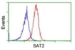 SAT2 Antibody (OTI1C9), Novus Biologicals 0.1mL; Unlabeled:Antibodies,