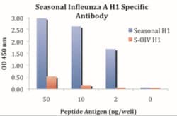 Seasonal H1N1 Hemagglutinin Antibody - BSA Free, Novus Biologicals:Antibodies:Primary