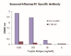 Seasonal H1N1 Neuraminidase Antibody (10C5F12) - BSA Free, Novus Biologicals:Antibodies:Primary