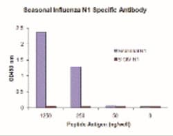 Seasonal H1N1 Neuraminidase Antibody (6F4C8) - BSA Free, Novus Biologicals