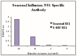 Seasonal H1N1 NS1 Antibody - BSA Free, Novus Biologicals:Antibodies:Primary