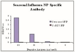 Seasonal H1N1 Nucleocapsid Protein Antibody - BSA Free, Novus Biologicals:Antibodies:Primary
