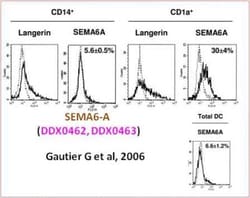 Semaphorin 6A Antibody (118E7), Novus Biologicals 0.1mg; Unlabeled:Antibodies,