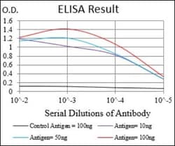 Serpin A7/TBG Antibody (1C3H11) - BSA Free, Novus Biologicals:Antibodies:Primary