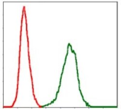 Serpin E1/PAI-1 Antibody (1D5) - BSA Free, Novus Biologicals:Antibodies:Primary