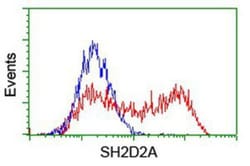 SH2D2A Antibody (OTI4F3), Novus Biologicals 0.1mL; Unlabeled:Antibodies,