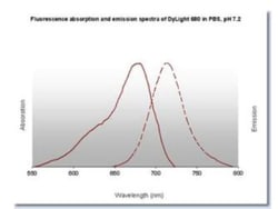 Sheep anti-Rabbit IgG (H+L) Secondary Antibody, DyLight 680 (Pre-adsorbed), Novus Biologicals™