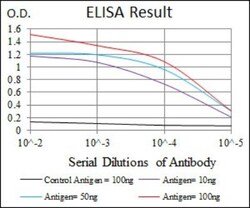 SHP-2/PTPN11 Antibody (6D9) - BSA Free, Novus Biologicals:Antibodies:Primary