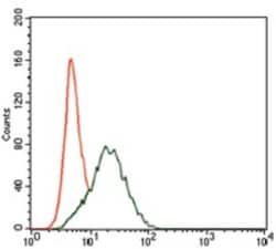 SHP-2/PTPN11 Antibody (6D9) - BSA Free, Novus Biologicals:Antibodies:Primary