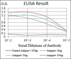 Siglec-2/CD22 Antibody (1A3A11) - BSA Free, Novus Biologicals 0.1mL; Unlabeled:Antibodies,
