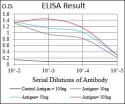 Siglec-2/CD22 Antibody (2H1C4) - BSA Free, Novus Biologicals 0.1mL; Unlabeled:Antibodies,