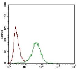 Siglec-2/CD22 Antibody (2H1C4) - BSA Free, Novus Biologicals 0.1mL; Unlabeled:Antibodies,