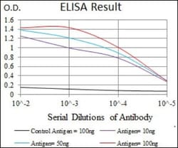 Siglec-3/CD33 Antibody (2C6B7) - BSA Free, Novus Biologicals 0.1mL; Unlabeled:Antikörper