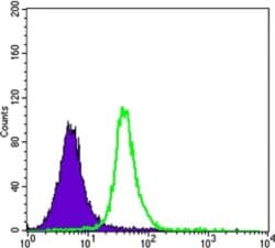 Smad5 Antibody (3H9), Novus Biologicals 0.1mL; Unlabeled:Antibodies, Monoclonal