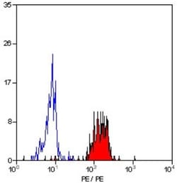SMC4 Antibody, Novus Biologicals:Antibodies:Primary Antibodies