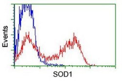 SOD1/Cu-Zn SOD Antibody (OTI8B10), Novus Biologicals 0.1mL; Unlabeled:Antibodies,