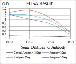 Sonic Hedgehog/Shh Antibody (5H4), Novus Biologicals:Antibodies:Primary