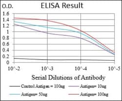 SOX10 Antibody (2E7B5) - BSA Free, Novus Biologicals 0.1mL; Unlabeled:Antibodies,