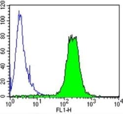 Spectrin beta 1 Antibody (4C3), Novus Biologicals 0.1mL; Unlabeled:Antibodies,