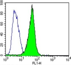Spectrin beta 1 Antibody (4C3), Novus Biologicals 0.1mL; Unlabeled:Antibodies,