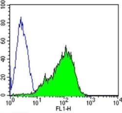 Spectrin beta 1 Antibody (4C3), Novus Biologicals 0.1mL; Unlabeled:Antibodies,