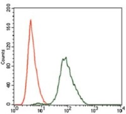 Spi-B Antibody (4G5), Novus Biologicals:Antibodies:Primary Antibodies