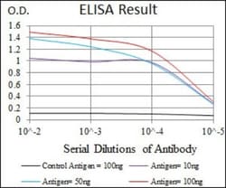 SRY Antibody (1G4) - BSA Free, Novus Biologicals 0.025 mL, Unlabeled:Antibodies,