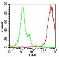 SSEA-4 Antibody (MC-813-70), Novus Biologicals 0.025 mg | Buy Online | Novus Biologicals | Fisher Scientific