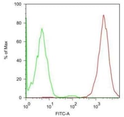 SSEA-5 Antibody (8e11), Novus Biologicals 0.1mL; Unlabeled:Antibodies,