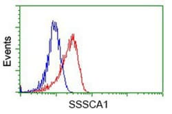 SSSCA1 Antibody (OTI2F5), Novus Biologicals 0.1mL; Unlabeled:Antibodies,