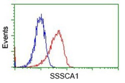 SSSCA1 Antibody (OTI2F5), Novus Biologicals 0.1mL; Unlabeled:Antibodies,