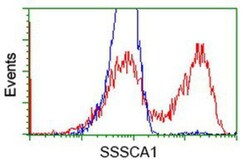 SSSCA1 Antibody (OTI2F5), Novus Biologicals 0.1mL; Unlabeled:Antibodies,