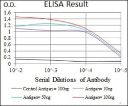 STAT5A Antibody (6D4) - BSA Free, Novus Biologicals 0.1mL; Unlabeled:Antibodies,