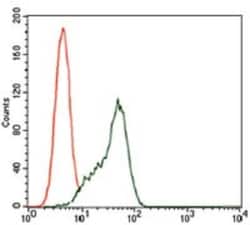 STAT5A Antibody (6D4) - BSA Free, Novus Biologicals 0.1mL; Unlabeled:Antibodies,