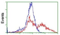 SUHW1 Antibody (OTI2H3), Novus Biologicals 0.1mL; Unlabeled:Antibodies,