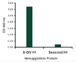 Swine Influenza A H1N1 Hemagglutinin Antibody - BSA Free, Novus Biologicals:Antibodies:Primary