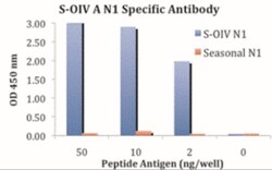 Swine Influenza A H1N1 Neuraminidase Antibody - BSA Free, Novus Biologicals