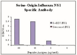 Swine Influenza A H1N1 NS1 Antibody - BSA Free, Novus Biologicals 0.1mg;