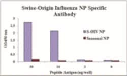 Swine Influenza A H1N1 Nucleocapsid Antibody - BSA Free, Novus Biologicals