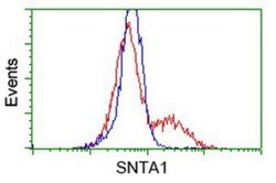 Syntrophin alpha 1 Antibody (OTI1H10), Novus Biologicals 0.1mL; Unlabeled:Antibodies,